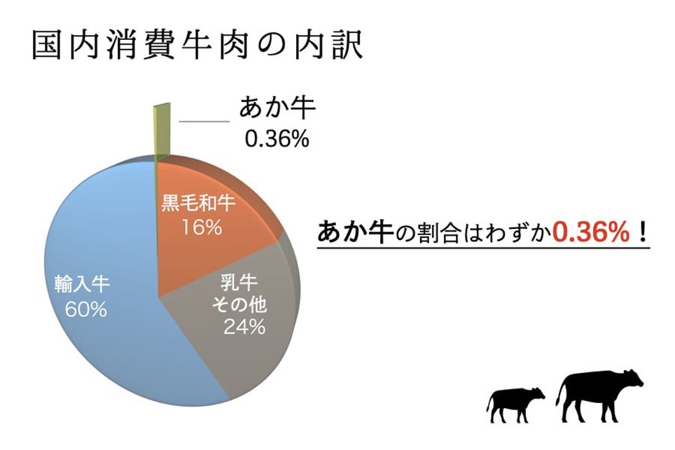 〈令和8年1月出荷〉熊本県産ＧＩ認証取得 くまもとあか牛（焼肉用５００ｇ） 熊本県産 あか牛 焼肉用 500g くまもとあか牛 GI認証取得 和牛 国産牛 肉 牛 焼肉 赤身 バーベキュー ギフト 贈答用 阿蘇牧場 熊本 阿蘇 南小国町 送料無料 《 出荷月指定 》