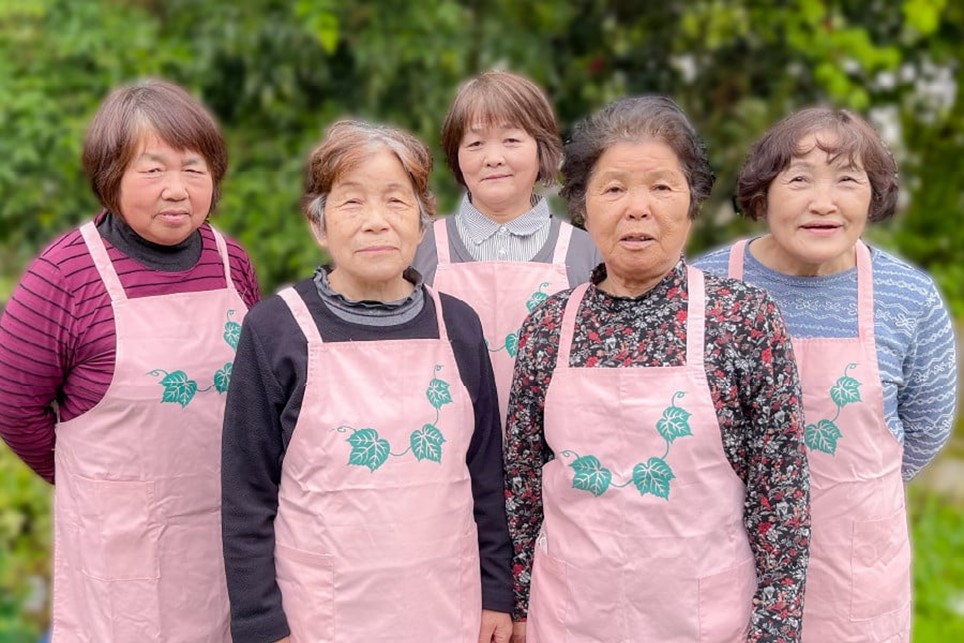 【3ヶ月定期便】葵会こだわりの『手作り合わせ味噌』 3ヶ月 定期便 手づくり 合わせみそ 800g 2個 セット 味噌 みそ 合わせ味噌 米麹 米糀 麦麹 調味料 手作り お取り寄せ 葵会 熊本 阿蘇 南小国町 送料無料