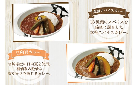 無添加で安心安全！スパイス香る本格カレー5種（200g×10食） カレー スパイス レトルト 5種 200g 10食 スパイスカレー キーマカレー レトルトカレー 無添加 セット 詰め合わせ ご当地 ギフト 贈答用 キングフーズ 熊本 阿蘇 南小国町 送料無料