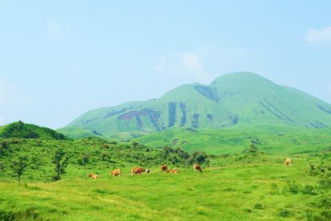 【熊本県産】 あか牛 ロースステーキ 400g 熊本県産 あか牛 くまもとあか牛 国産牛 国産 牛肉 牛 ステーキ ロース ステーキ肉 三協畜産 熊本 南小国町 送料無料