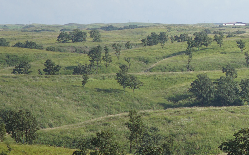 【FIL】エプソムソルト Epsomsalt  バスソルト 100g 3袋 入浴剤 小国杉製油 天然由来 硫酸マグネシウム スパ リラックス ギフト 贈答用 プレゼント Foreque 熊本 阿蘇 南小国町 送料無料