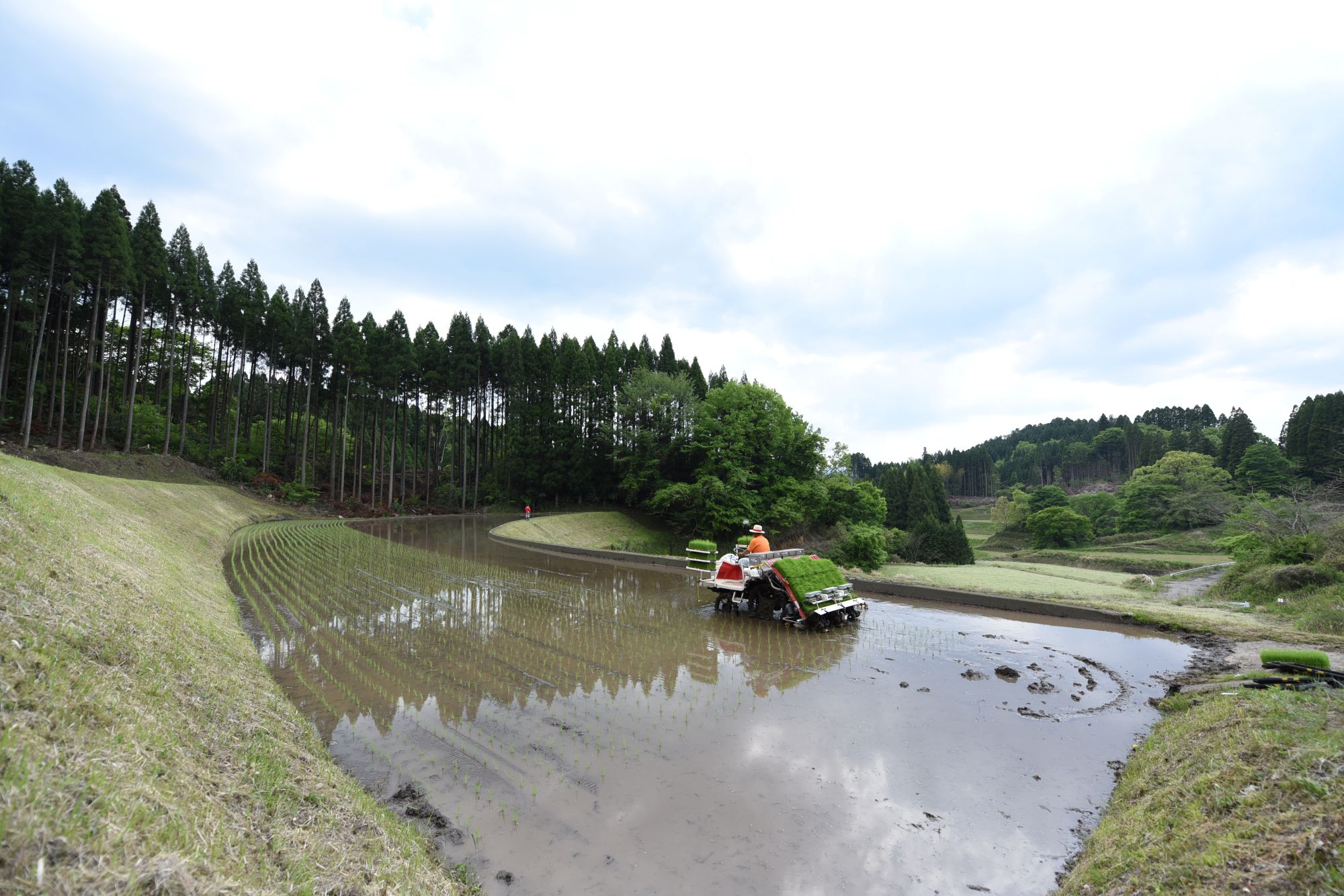 【予約受付】令和8年産・新米 瑠璃米 4kg 予約 新米 令和8年産 南小国産 米 白米 精米 2kg 2袋 お米 ご飯 産地直送 髙村農園 熊本 阿蘇 南小国町 送料無料
