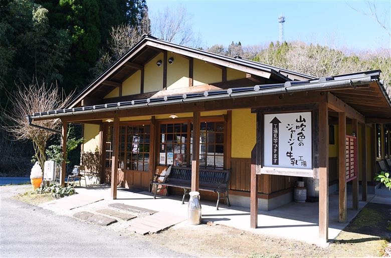 山吹色のジャージー牛乳セット 山吹色のジャージー牛乳 200ml 12本 ジャージー牛乳 牛乳 セット 乳製品 飲料 健康 腸活 免疫力アップ 乳酸菌 ご当地牛乳グランプリ 最高金賞 ご当地 ギフト 贈答用 山のいぶき 熊本 阿蘇 南小国町 送料無料