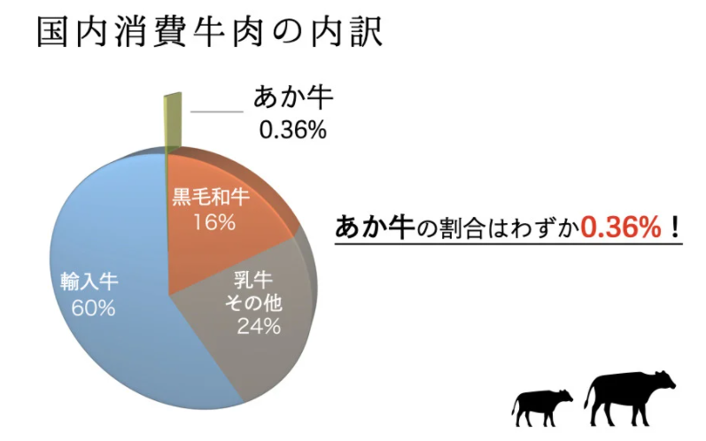 【熊本県産】GI認証取得 くまもとあか牛（特選・すき焼き用500g） 熊本県産 くまもとあか牛 特選 すき焼き 500g 国産牛 あか牛 赤身 霜降り 牛肉 牛 国産 肉 薄切り すき焼き しゃぶしゃぶ 鍋用 鍋 阿蘇牧場 熊本 南小国町 送料無料