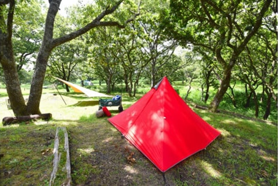 【黒川温泉ほか対象施設で利用可能】南小国町観光商品券1万円（1000円×10枚） 観光商品券 南小国町 黒川温泉 小田温泉 旅行券 宿泊券 観光地応援 チケット 商品券 1万円 1000円 10枚 ギフト 贈答用 温泉 温泉地 食事 日帰り 日帰り旅 熊本旅行 南小国町観光協会 九州旅行 熊本 阿蘇 送料無料