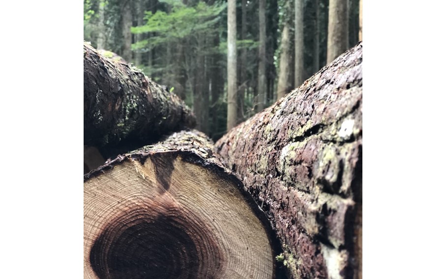 【Higo Beat】 小国杉 レコードボックス（12インチ用） レコードラック 40~50枚 レコード 収納 木製 天然木 無垢材 インテリア おしゃれ Higo Beat 熊本 阿蘇 南小国町 送料無料