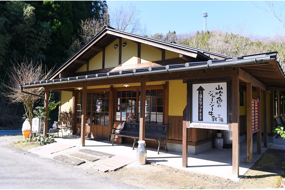 【最高金賞】黒川温泉発 山吹色のジャージー牛乳＆ヨーグルトセット １２ヶ月定期便 黒川温泉 山吹色のジャージー牛乳 飲むヨーグルト 2種 11本 ジャージー牛乳 900ml のむヨーグルト 150ml 詰め合わせ アソート セット 乳製品 飲料 健康 腸活 免疫力アップ 乳酸菌 ご当地牛乳グランプリ ご当地 ギフト 贈答用 山のいぶき 熊本 阿蘇 南小国町 送料無料