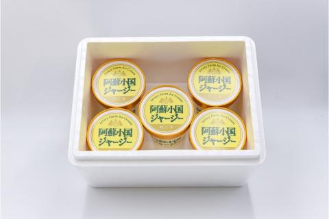 【阿蘇・小国郷特産】ジャージー牛乳アイス・パーティセット2.4L(バニラ480ml×5)  阿蘇 小国郷特産 ジャージー牛乳 アイス パーティセット 2.4L バニラ 480ml 5個 濃厚 氷菓 アイスクリーム セット 詰め合わせ ギフト 贈答用 JA阿蘇 熊本 南小国町 送料無料