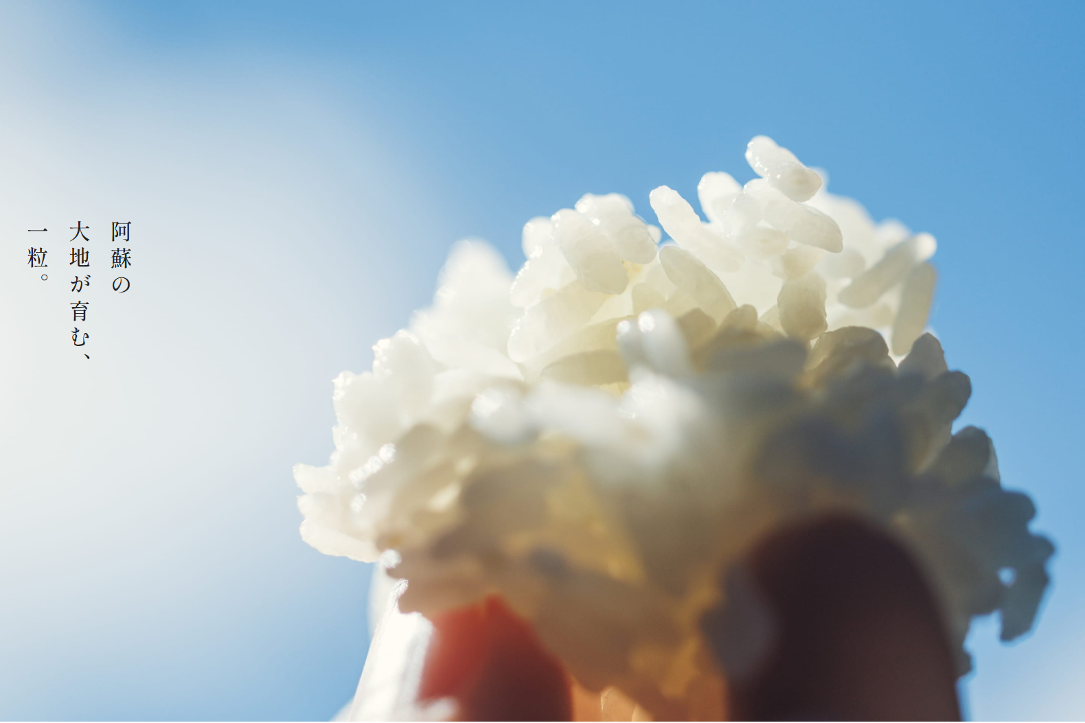 【予約受付】令和8年産・新米 ごんべえ米 5㎏ 予約 令和8年産 新米 白米 玄米 精米 米 お米 玄米対応可能 ご飯 ごはん 無農薬 農薬不使用 産地直送 吉原ごんべえ村 熊本 南小国 送料無料