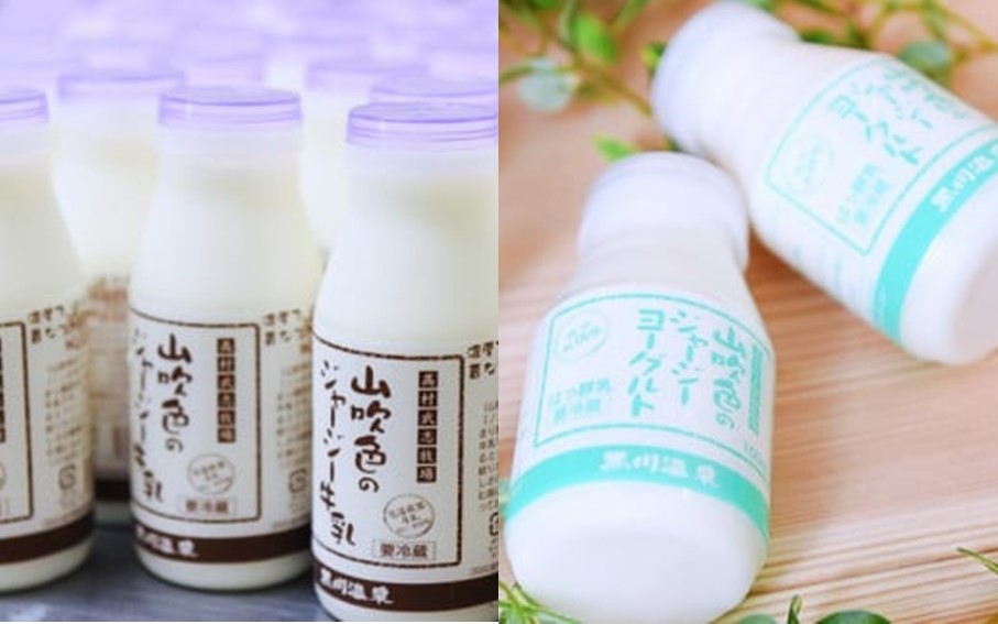 【最高金賞】黒川温泉発 山吹色のジャージー牛乳＆ヨーグルトセット ６ヶ月定期便 黒川温泉 山吹色のジャージー牛乳 飲むヨーグルト 2種 11本 ジャージー牛乳 900ml のむヨーグルト 150ml 詰め合わせ アソート セット 乳製品 飲料 健康 腸活 免疫力アップ 乳酸菌 ご当地牛乳グランプリ ご当地 ギフト 贈答用 山のいぶき 熊本 阿蘇 南小国町 送料無料