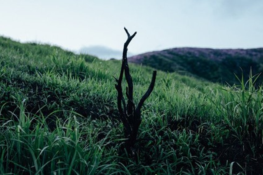 【FIL】ハンドルスツール -スミ リミテッド- MASS Series Handle Stool -SUMI LIMITED-　小国杉 スツール ハンドルスツール チェアー チェア ローチェア 椅子 インテリア 家具 木製 無垢材 炭 黒 おしゃれ リビング ダイニング Foreque 熊本 阿蘇 南小国町 送料無料