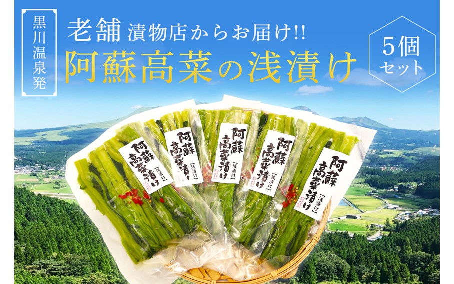 【黒川温泉発】阿蘇高菜の浅漬け（5個入） 阿蘇高菜 浅漬け 160g 5個 高菜 漬物 高菜漬け 高菜漬物 お取り寄せ ギフト 贈答用 黒川温泉 平野商店 九州 熊本 阿蘇 南小国町 送料無料