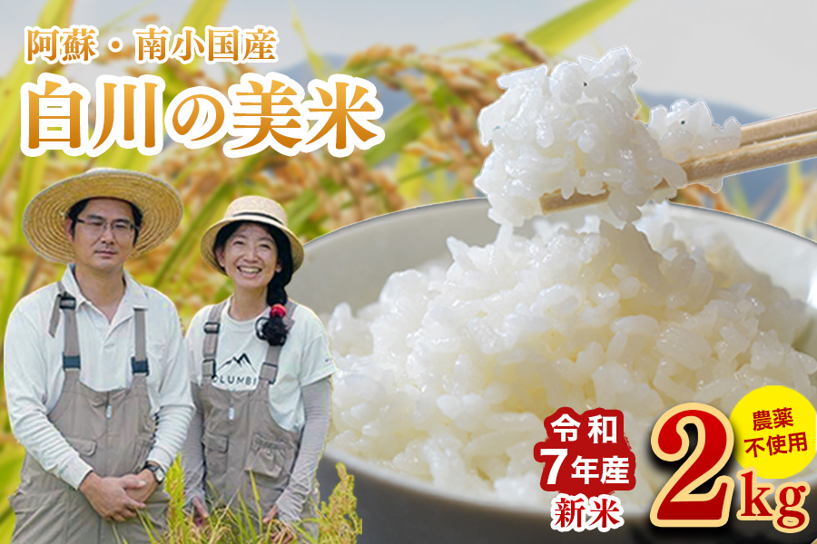令和７年産 白川の美米 ２kg 令和7年産 南小国産 玄米 白米 3分づき 5分づき 7分づき 森のくまさん 精米 米 お米 ご飯 ごはん 無農薬 農薬不使用 自然栽培 産地直送 白川自然農園 熊本 南小国 送料無料