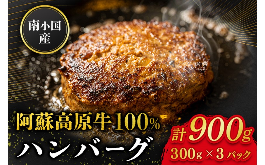 南小国産 阿蘇高原牛 牛100% ハンバーグ 900g 贅沢 牛 牛肉 国産牛 ハンバーグ ハンバーグステーキ 150g 6個 小分け 熊本県産 国産 贈答用 ギフト ハマダ 熊本 阿蘇 南小国町 送料無料