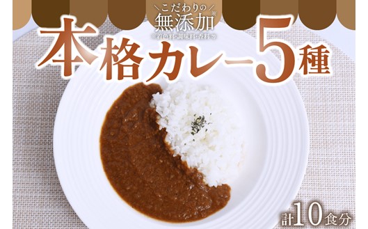 無添加で安心安全！スパイス香る本格カレー5種（200g×10食） カレー スパイス レトルト 5種 200g 10食 スパイスカレー キーマカレー レトルトカレー 無添加 セット 詰め合わせ ご当地 ギフト 贈答用 キングフーズ 熊本 阿蘇 南小国町 送料無料