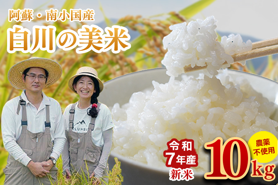 令和７年産 白川の美米 １０kg 令和7年産 南小国産 玄米 白米 3分づき 5分づき 7分づき 森のくまさん 精米 米 5kg 2袋 お米 ご飯 ごはん 無農薬 農薬不使用 自然栽培 産地直送 白川自然農園 熊本 南小国 送料無料