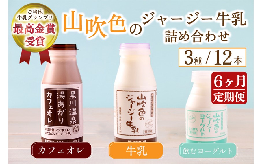 【6ヶ月定期便】黒川温泉発 山吹色のジャージー牛乳 最高金賞セット 6ヶ月 定期便 3種 12本 ジャージー牛乳 牛乳 飲むヨーグルト カフェオレ コーヒー牛乳 6回 黒川温泉 詰め合わせ アソート セット 乳製品 飲料 健康 腸活 免疫力アップ 乳酸菌 ご当地牛乳グランプリ 最高金賞 ご当地 ギフト 贈答用 山のいぶき 熊本 阿蘇 南小国町 送料無料