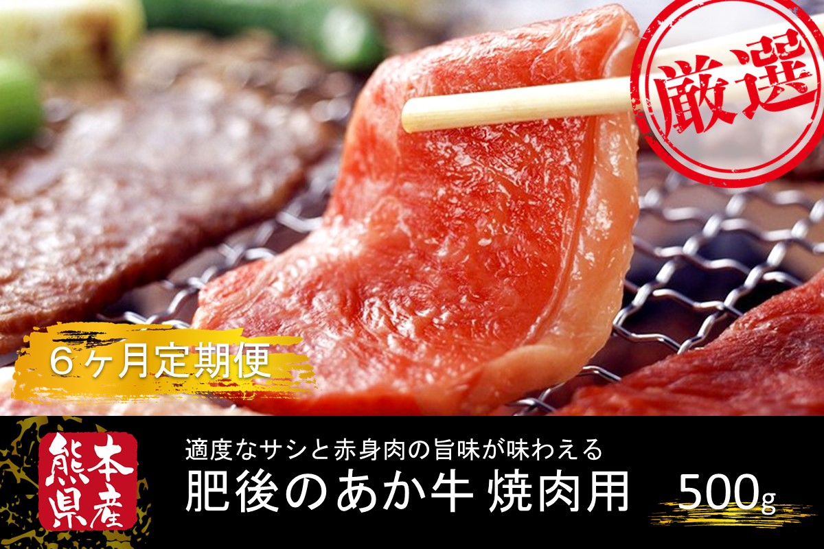 【6ヶ月定期便】ＧＩ認証取得 くまもとあか牛（焼肉用500g） 定期便 6ヶ月 熊本県産 あか牛 焼肉用 500g 6回 くまもとあか牛 GI認証取得 和牛 国産牛 肉 牛 焼肉 赤身 バーベキュー ギフト 贈答用 阿蘇牧場 熊本 阿蘇 南小国町 送料無料