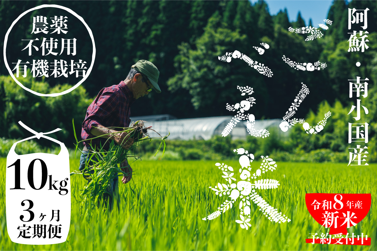 【予約受付】【3ヶ月定期便】令和8年産・新米 ごんべえ米 10kg 予約 3ヶ月 定期便 令和8年産 新米 白米 玄米 精米 米 お米 玄米対応可能 ご飯 ごはん 無農薬 農薬不使用 産地直送 吉原ごんべえ村 熊本 南小国 送料無料