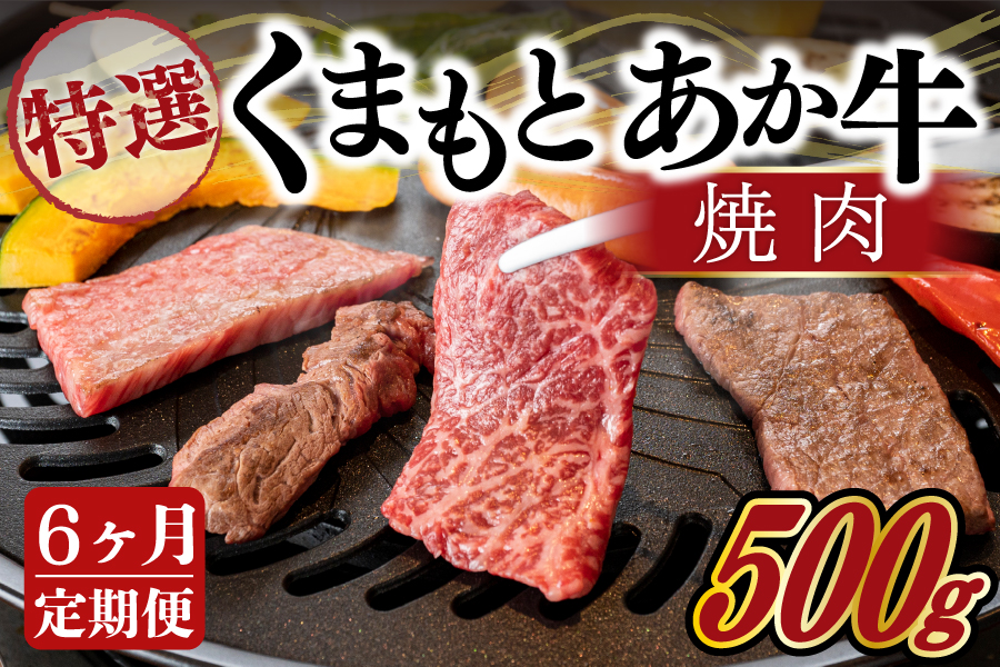 【6ヶ月定期便】GI認証取得 くまもとあか牛（特選・焼肉用500g） 6ヶ月 定期便 熊本県産 くまもとあか牛 特選 焼肉用 500g 6回 国産牛 あか牛 赤身 霜降り 牛肉 牛 国産 肉 焼肉 バーベキュー BBQ 阿蘇牧場 熊本 南小国町 送料無料