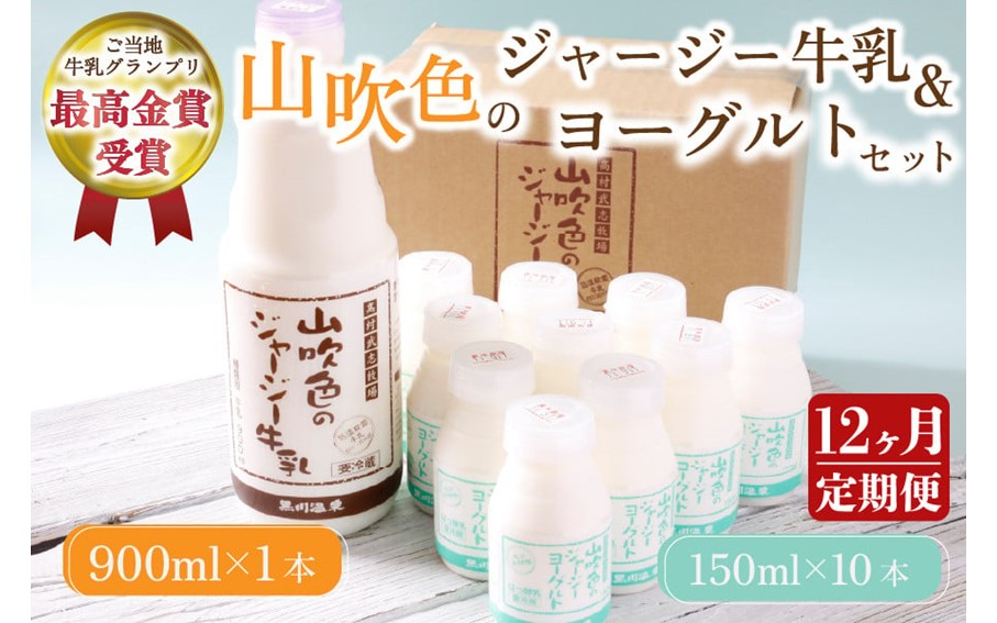 【最高金賞】黒川温泉発 山吹色のジャージー牛乳＆ヨーグルトセット １２ヶ月定期便 黒川温泉 山吹色のジャージー牛乳 飲むヨーグルト 2種 11本 ジャージー牛乳 900ml のむヨーグルト 150ml 詰め合わせ アソート セット 乳製品 飲料 健康 腸活 免疫力アップ 乳酸菌 ご当地牛乳グランプリ ご当地 ギフト 贈答用 山のいぶき 熊本 阿蘇 南小国町 送料無料