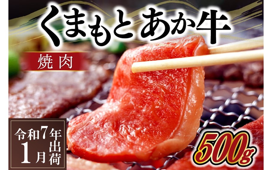 [令和7年1月出荷]熊本県産GI認証取得 くまもとあか牛(焼肉用500g) 熊本県産 あか牛 焼肉用 500g くまもとあか牛 GI認証取得 和牛 国産牛 肉 牛 焼肉 赤身 バーベキュー ギフト 贈答用 熊本 阿蘇 南小国町 送料無料 [ 出荷月指定 ]