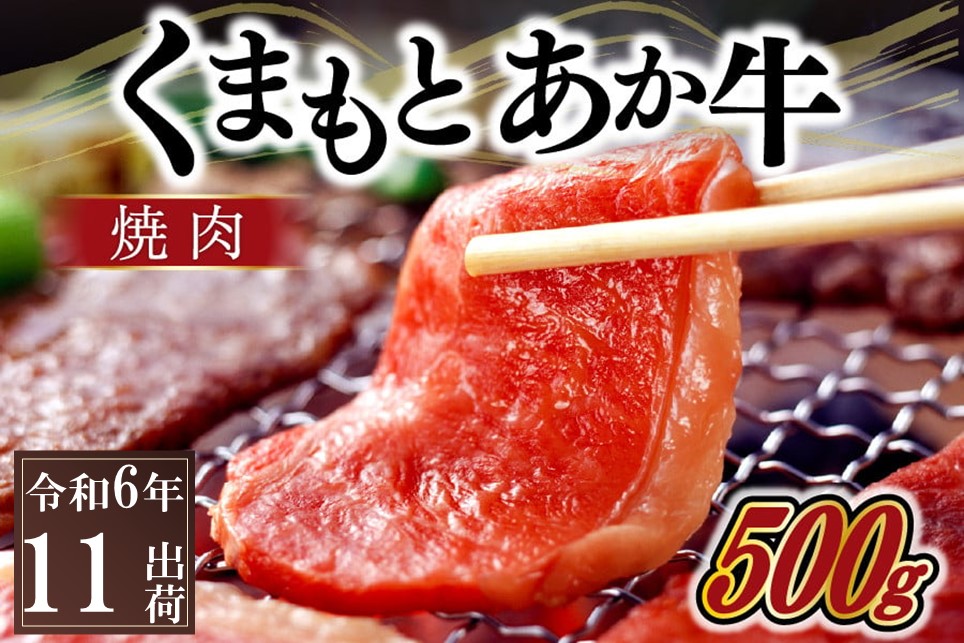 [令和6年11月出荷]熊本県産GI認証取得 くまもとあか牛(焼肉用500g) 熊本県産 あか牛 焼肉用 500g くまもとあか牛 GI認証取得 和牛 国産牛 肉 牛 焼肉 赤身 バーベキュー ギフト 贈答用 熊本 阿蘇 南小国町 送料無料 [ 出荷月指定 ]