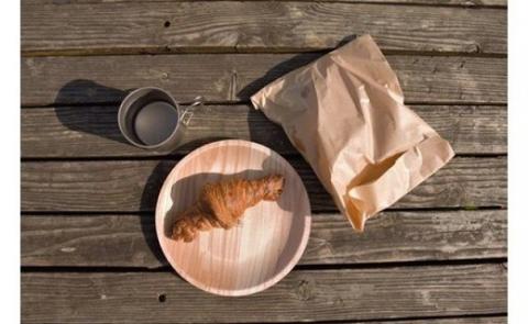 【小国町森林組合】小国杉 国産材 天然木 SDGs 丸型 角型 各5枚 国産 小国町 阿蘇 熊本 木製 食器 什器 ウッドトレイ ソーサ― キャンプ BBQ バーベキュー 10枚 贈り物 ギフト プレゼント 阿蘇小国杉のくらし