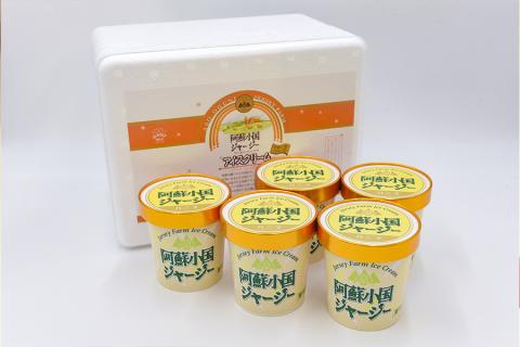 【JA阿蘇】小国ジャージー牛乳 阿蘇 小国郷 ジャージー牛乳 ゴールデンミルク 牧場しぼり アイスクリーム バニラ 濃厚 贈答 ギフト 記念日 おうち時間 お取り寄せ アイス アイスクリームパーティーセット 480ml×5