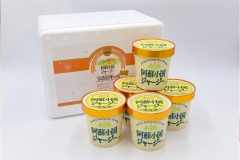 【JA阿蘇】小国ジャージー牛乳 阿蘇 小国郷 ジャージー牛乳 ゴールデンミルク 牧場しぼり アイスクリーム バニラ 抹茶 濃厚 贈答 ギフト 記念日 おうち時間 お取り寄せ アイス アイスクリームパーティーセット 480ml×5（バニラ×3、抹茶×2）