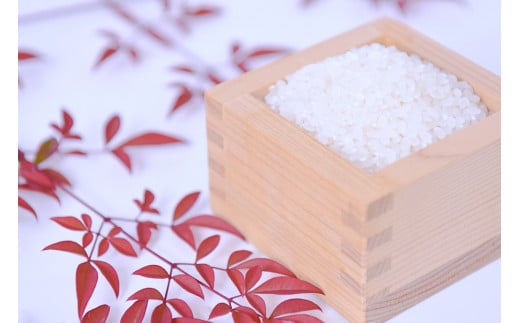 【JA阿蘇小国郷】令和7年産 新米 あきげしき 5kg 精米 産直 検査米 ノンブレンド米 単一原料 お米 白米 精白米 銘柄米 阿蘇小国のお米 熊本 阿蘇 小国町 産地直送 国産米 日本産 地場産 ご自宅用 贈答