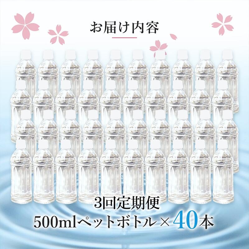 【3回定期便】天然水「サクラシリカ」500ml 40本 3回 計120本 定期便 シリカ含有量99mg/L シリカ水 ラベルレス 水 ミネラルウォーター 飲料水 飲料 ペットボトル ナチュラルウォーター サルフェート 炭酸水素イオン ミネラル 国産 阿蘇 小国郷