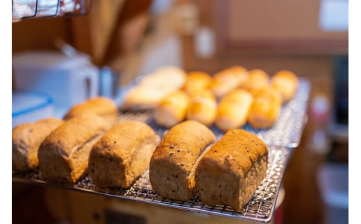 【そらいろのたね】 熊本 阿蘇 小国町 わいた温泉 山川温泉 手作りパン パンセット 詰め合わせ レーズン クロワッサン ジャージーミルク 木の実 チーズ クリーム セット 人気 ハンドメイド 創業20年以上 老舗 ツリーハウス 冷凍 おすすめパンセット