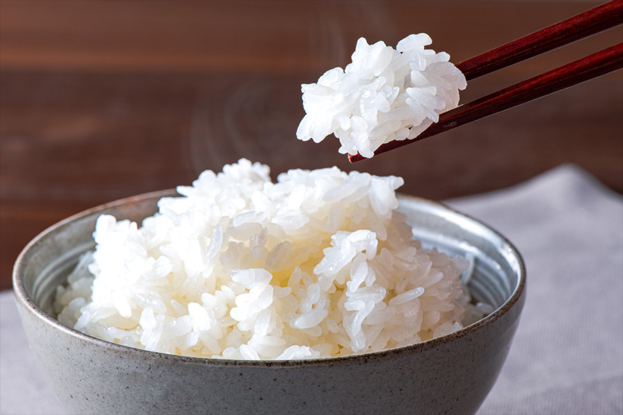 【先行予約】令和7年産 新米 精米 10kg あきげしき ひのひかり こしひかり 11月出荷 産直 ノンブレンド米 単一原料 お米 白米 精白米 銘柄おまかせ ヒノヒカリ コシヒカリ 熊本 阿蘇 小国町 産地直送 国産 日本産 地場産 贈答 田代さんのお米