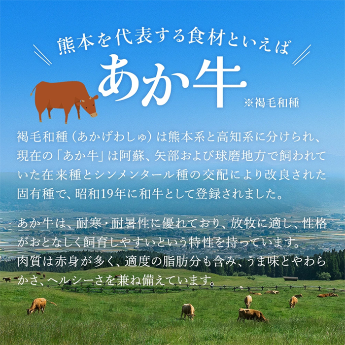 【桜屋】GI 地理的表示 認定ブランド牛 国産 熊本県産 くまもとあか牛 褐毛和種 あかげわしゅ ブランド牛 熊本県認定 和牛 あか牛 すき焼き しゃぶしゃぶ 鍋 500g 希少 阿蘇 小国町 小国郷 贈答 ギフト