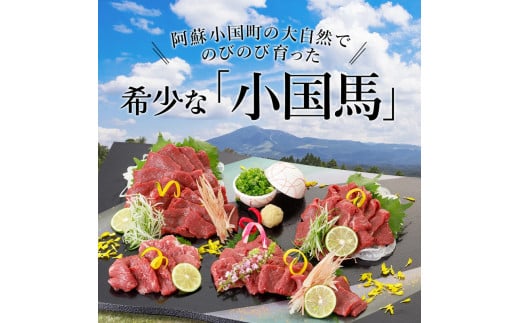 【阿蘇牧場】熊本と畜 小国育ち 小国馬 地元産 馬刺し 阿蘇 熊本 小国 国産 阿蘇の大地 放牧馬 赤身 上赤身 さっぱりとした旨み 小分け 馬肉 300g 馬刺し醤油 150ml 専用醤油 七福醤油店 タレ付き 真空パック 老舗専門店 ギフト 贈答用