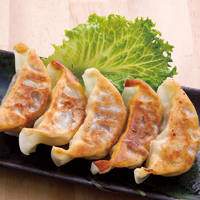 【三協畜産】熊本和牛 あか牛 熊本県産 肥育 加工品 阿蘇 熊本 褐毛和種 褐牛 和牛 ご当地 あか牛100% 牛肉 餃子 ぎょうざ 20個 3セット 計60個 ジューシー 惣菜 おかず ご飯のお供 熊本名物 ご家庭用 ギフト 贈答用