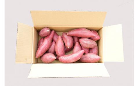 【下巣畑農産】先行予約 令和7年産 熟成 シルクスィート 4kg 令和8年1月出荷 さつま芋 唐芋 長期貯蔵 産地直送 まとめ買い 九州産 熊本産 小国産 地場産 スイーツ 蜜芋 贈答 ご家庭用 焼き芋 スィートポテト 高糖度 GAP認証 6次産業認定 認定農家