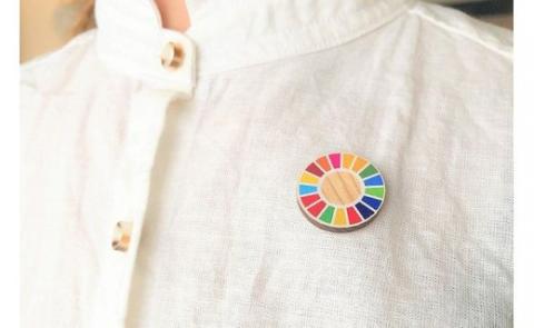 【小国町森林組合】阿蘇小国杉 小国杉 天然木 国産材 阿蘇 熊本 木製 ピンバッジ マグネット 計4個 SDGs サスティナブル アイコン 贈り物 ギフト プレゼント ノベルティにおすすめ 阿蘇小国杉のくらし