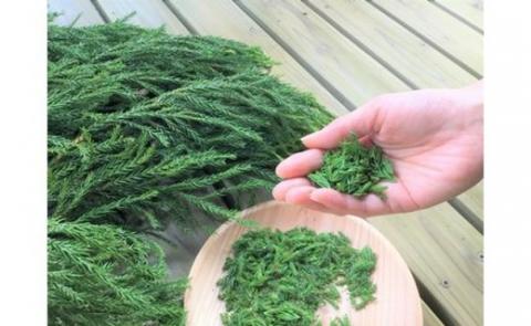 【小国町森林組合】阿蘇小国杉 小国杉 アロマ エッセンシャルオイル SDGs 天然精油 100ml 業務用 柑橘系 爽やか 精油 ルームフレグランス リラックス効果 Made in Aso-Oguni ギフト プレゼント 贈答 阿蘇小国杉のくらし