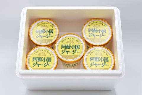 【JA阿蘇】小国ジャージー牛乳 阿蘇 小国郷 ジャージー牛乳 ゴールデンミルク 牧場しぼり アイスクリーム バニラ 濃厚 贈答 ギフト 記念日 おうち時間 お取り寄せ アイス アイスクリームパーティーセット 480ml×5