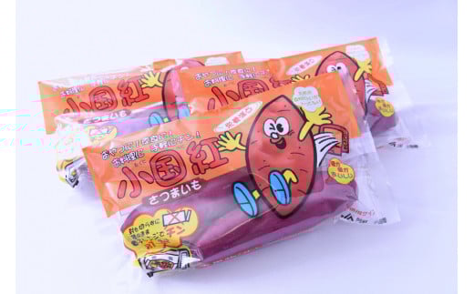 【JA阿蘇】先行予約 令和8年1月以降発送 JA阿蘇 熊本 阿蘇 小国町 小国郷 レンジでチン さつまいも サツマイモ からいも 3kg 3000g 2個×8袋 優しい甘さ ホクホク 天然のスイーツ レンジ用甘藷 小国紅 ギフト