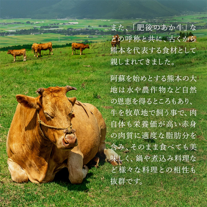 【桜屋】GI 地理的表示 認定ブランド牛 国産 熊本県産 くまもとあか牛 褐毛和種 あかげわしゅ ブランド牛 熊本県認定 和牛 あか牛 すき焼き しゃぶしゃぶ 鍋 500g 希少 阿蘇 小国町 小国郷 贈答 ギフト