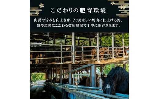 【阿蘇牧場】国産 日本産 熊本肥育 熊本と畜 馬刺し 阿蘇 熊本 小国 赤身 上赤身 小分け 馬肉 300g 馬刺し醤油 専用たれ付 真空パック