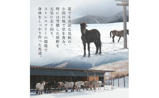 【阿蘇牧場】熊本と畜 小国育ち 小国馬 地元産 馬刺し 阿蘇 熊本 小国 国産 阿蘇の大地 放牧馬 赤身 上赤身 さっぱりとした旨み 小分け 馬肉 300g 馬刺し醤油 150ml 専用醤油 七福醤油店 タレ付き 真空パック 老舗専門店 ギフト 贈答用