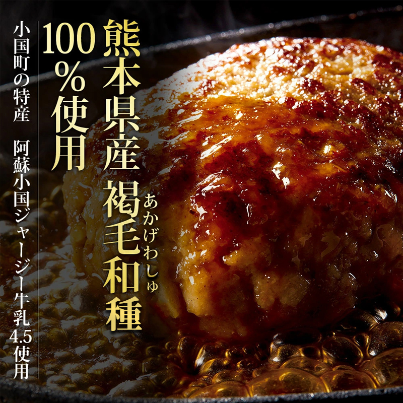 【阿蘇牧場】3回 定期便 肥後の赤牛 ハンバーグ 150g×10個 計1.5kg 1500g 熊本県産 和牛100％ 阿蘇小国ジャージー4.5牛乳使用 3回合計 30個 4.5kg 大判 和牛ハンバーグ 小分け 個包装 焼くだけ簡単 冷凍 熊本 阿蘇 小国町