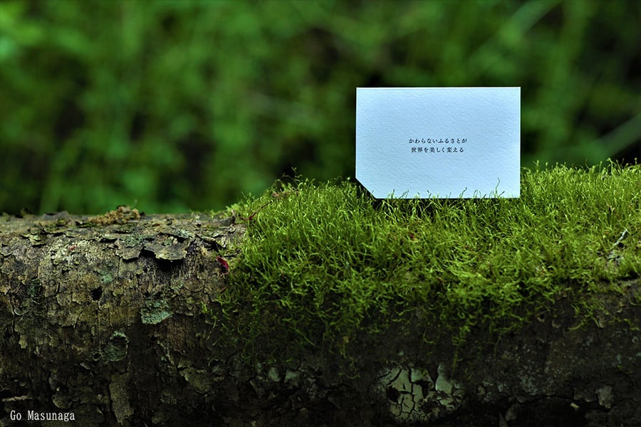 【KALCANO】ピアス ジュエリー jewelry アクセサリー レディース 熊本 阿蘇小国杉 小国杉 工芸品 木製 樹脂パーツ 淡水パール ニッケルフリー素材使用 金属アレルギー対応 ハンドメイド ギフト プレゼント ジュエリーケース付 ogunist tsumuji -つむじ