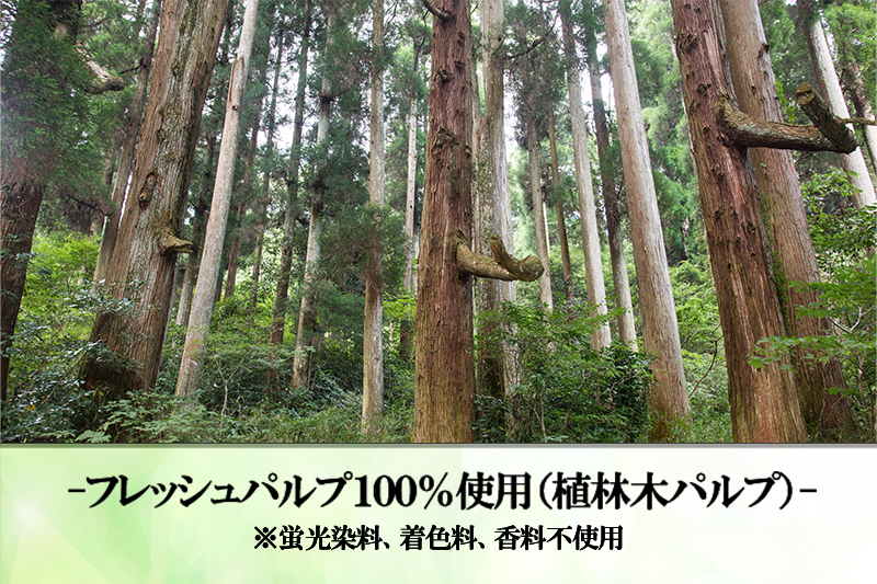 【令和8年4月～出荷】ティッシュペーパー ピュアパルプ ソフトパックティッシュ 60パック×400枚 200組 柔らか コンパクト 日用品 必需品 まとめ買い 常備品 備蓄 防災グッズ 熊本県 小国町 観光スポット紹介 オリジナル 常温配送