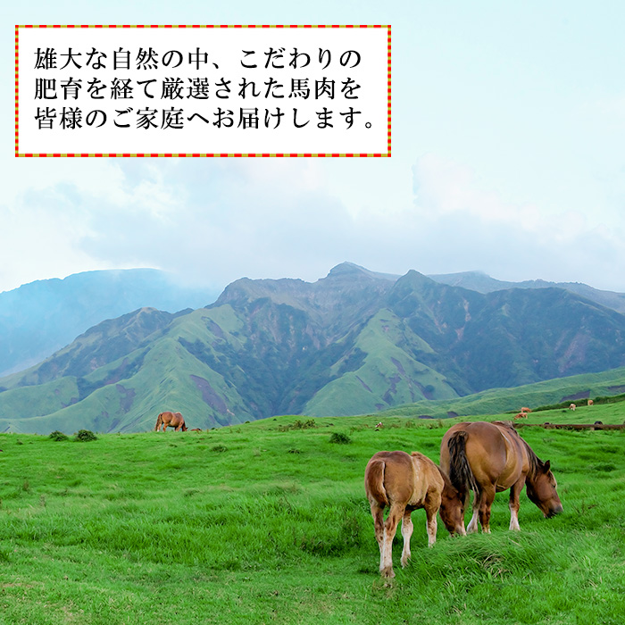 【馬刺しナンバーワン】熊本肥育 馬刺し5種 250g 赤身 特上赤身 中トロ コーネ 馬ユッケ 熊本と畜 新鮮 馬刺し 阿蘇 熊本 小分け 馬肉 専用醤油 真空パック 契約農場 お歳暮 ギフト 贈答用 記念日 小国町