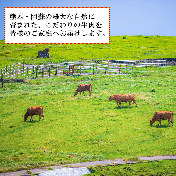 【馬刺しナンバーワン】熊本県産 名物 熊本肥育 新鮮 阿蘇 熊本 褐毛和種 赤牛 あか牛 和牛 ロース スライス サシ 牛肉 500g しゃぶしゃぶ 冷しゃぶ すき焼き 炒め物 煮込み 真空パック 契約農場 ギフト 贈答用 記念日 小国町